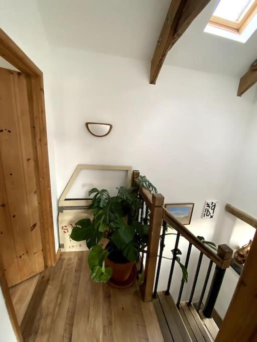 9A Viaduct Cottage - The Cosiest Bolthole In The Sw! Hayle Dış mekan fotoğraf